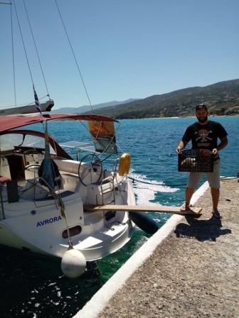 Aegean Cargo Sailing: Reviving a Sustainable Blue Economy in the Aegean Sea Ikaria loading 1
